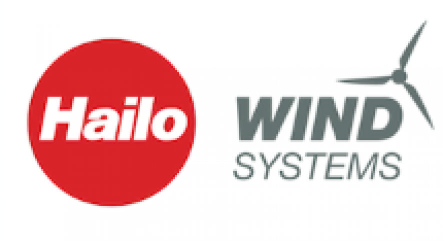 Hailo Wins Systems Logo